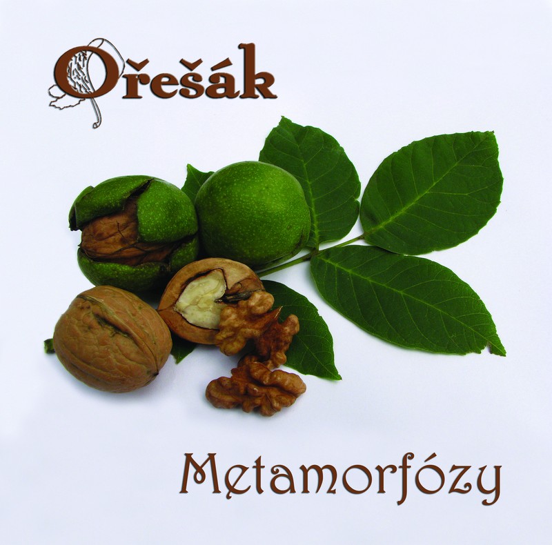 Metamorfózy cd